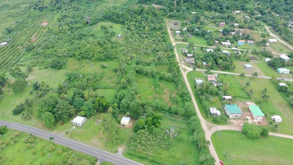 listing image with ID 69815