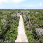 listing image thumbnail with ID 69759