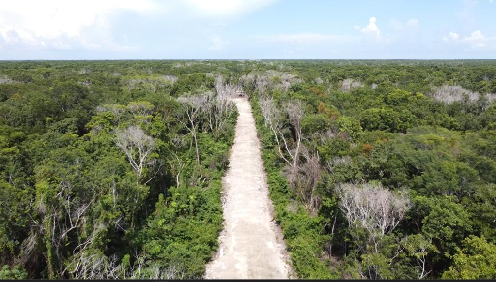 listing image with ID 69759