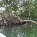 listing image thumbnail with ID 70056