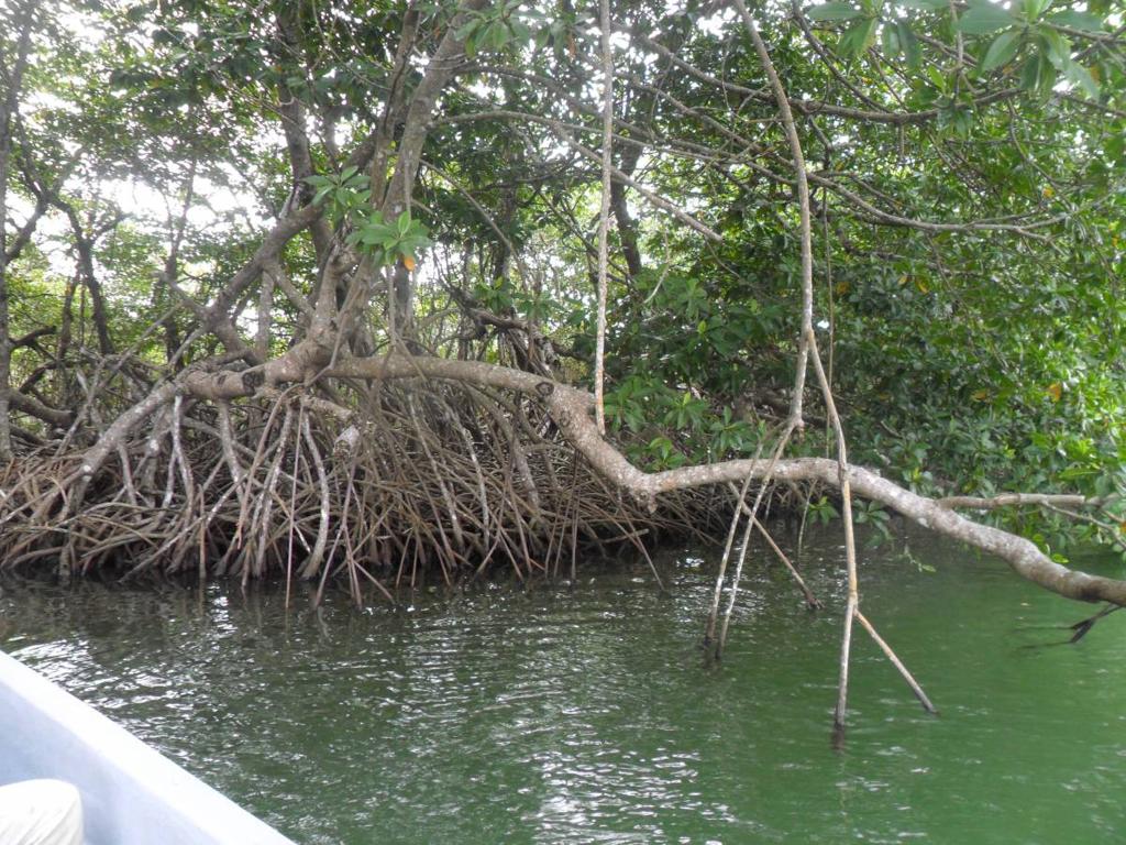 listing image with ID 70056