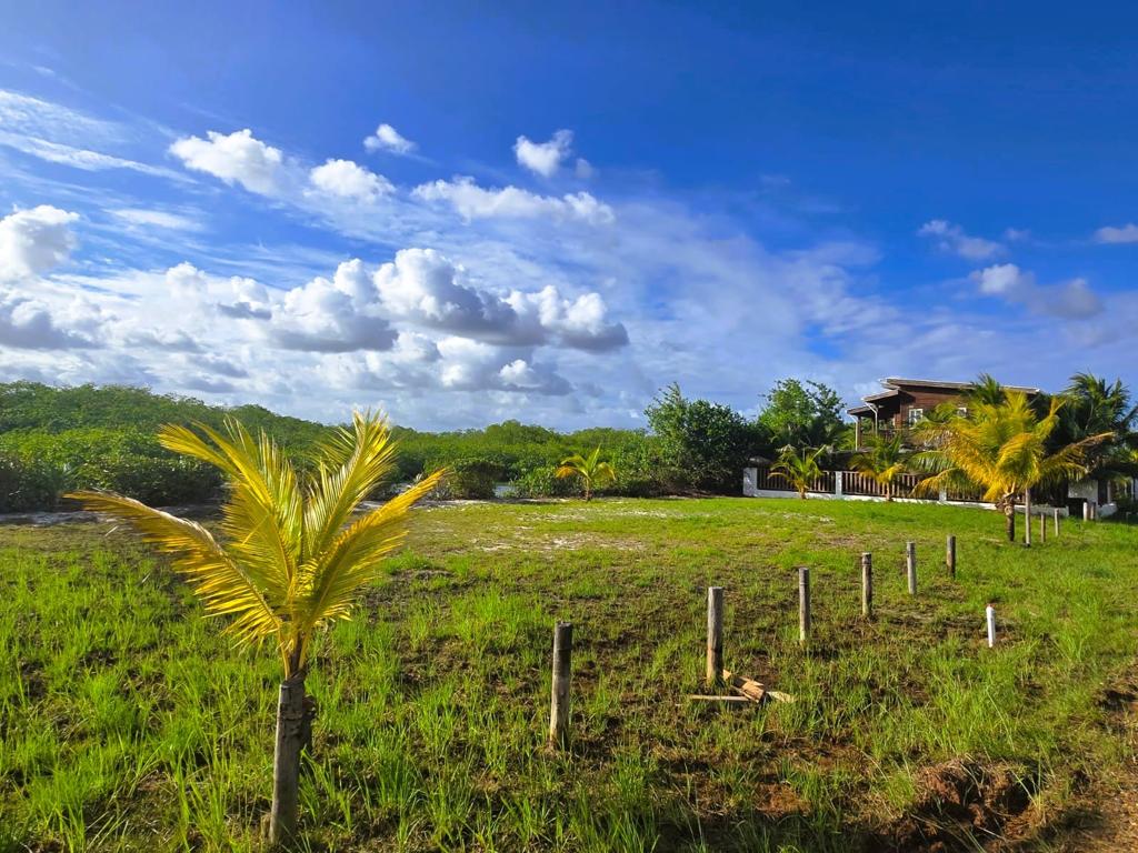 listing image with ID 69830