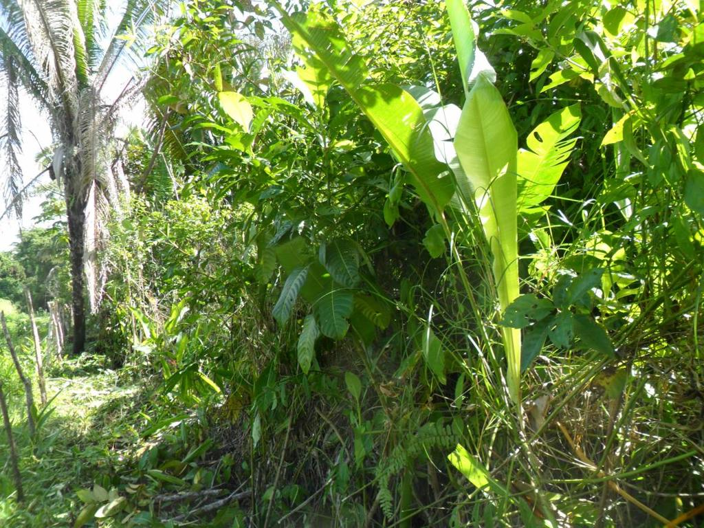 listing image with ID 70126