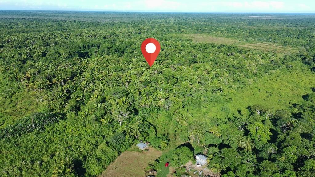 listing image with ID 69951