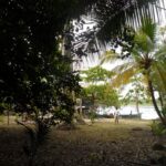 listing image thumbnail with ID 70058