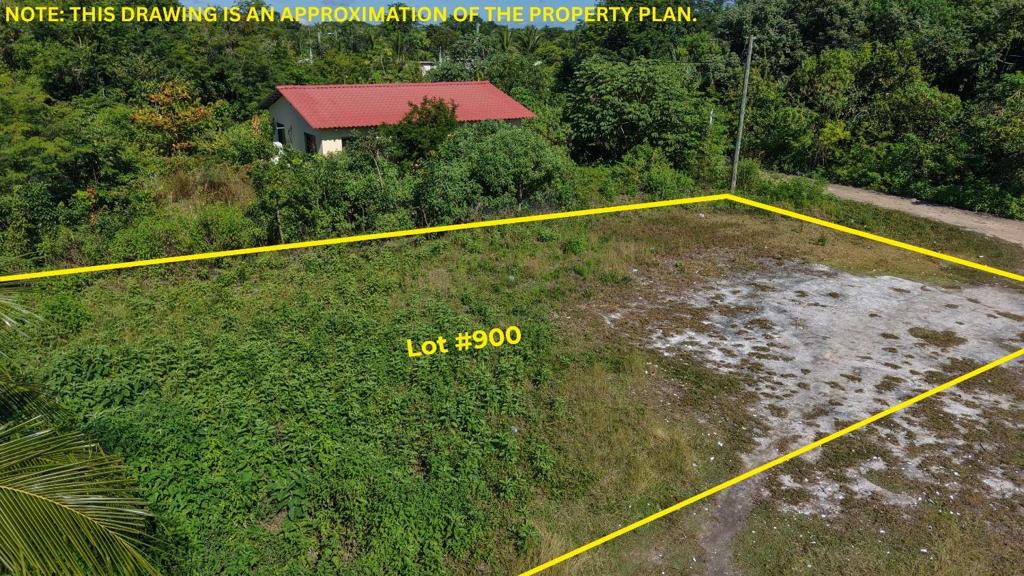 listing image with ID 70007