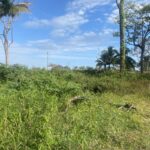 listing image thumbnail with ID 70784