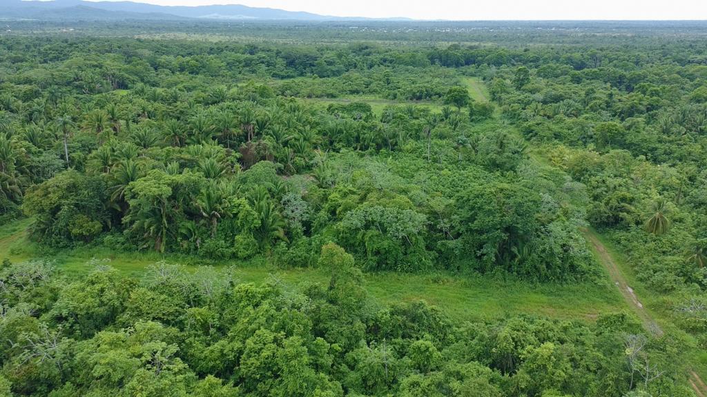 listing image with ID 69773