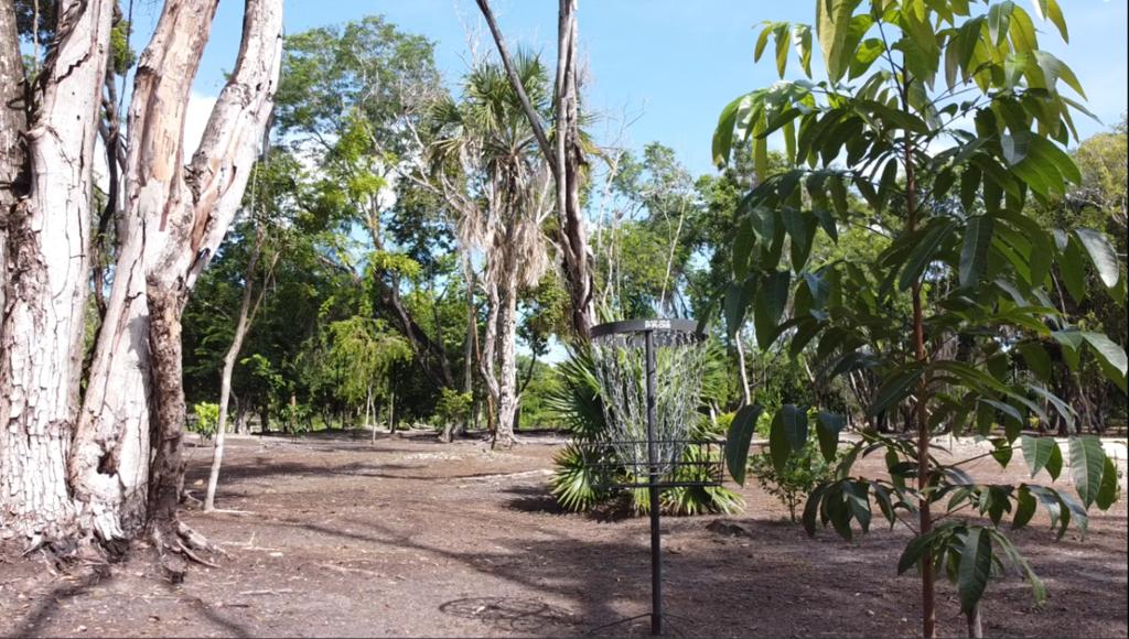 listing image with ID 69744