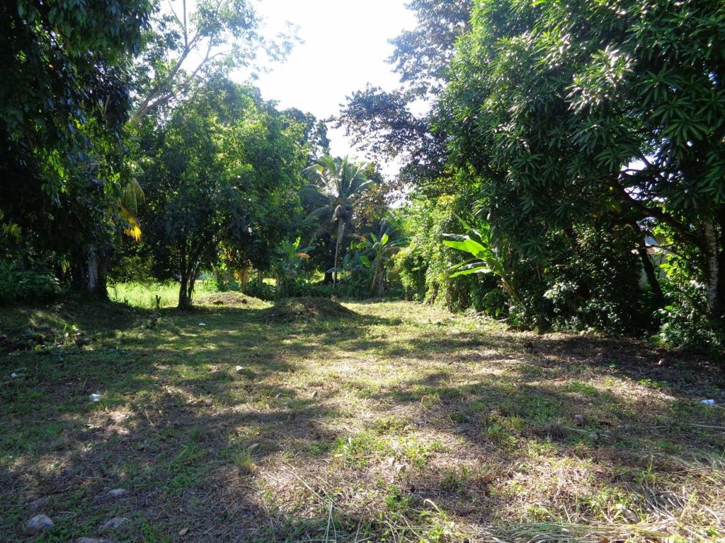 listing image with ID 70205