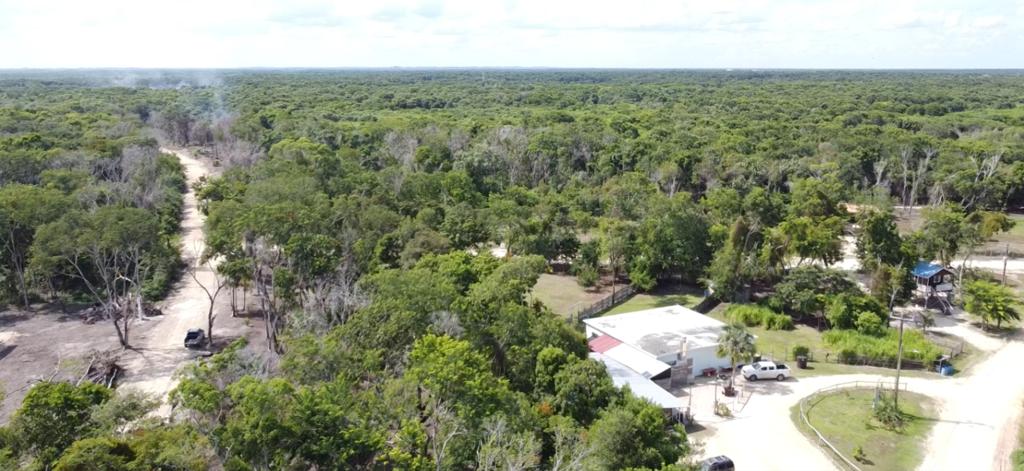 listing image with ID 69747