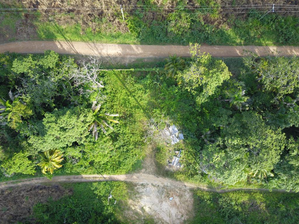 listing image with ID 70763