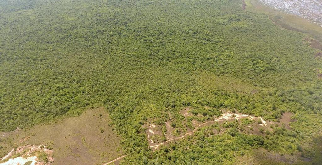 listing image with ID 69874