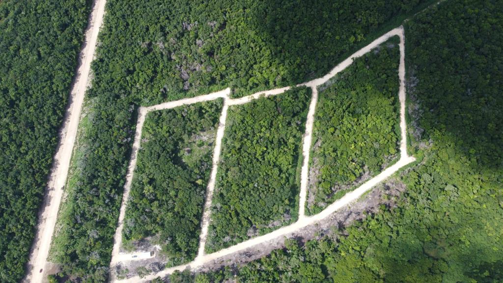 listing image with ID 69761