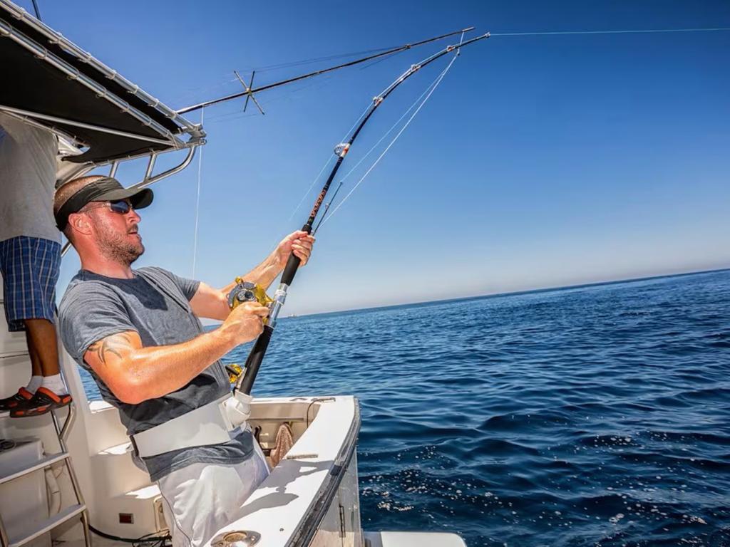 listing image with ID 70872