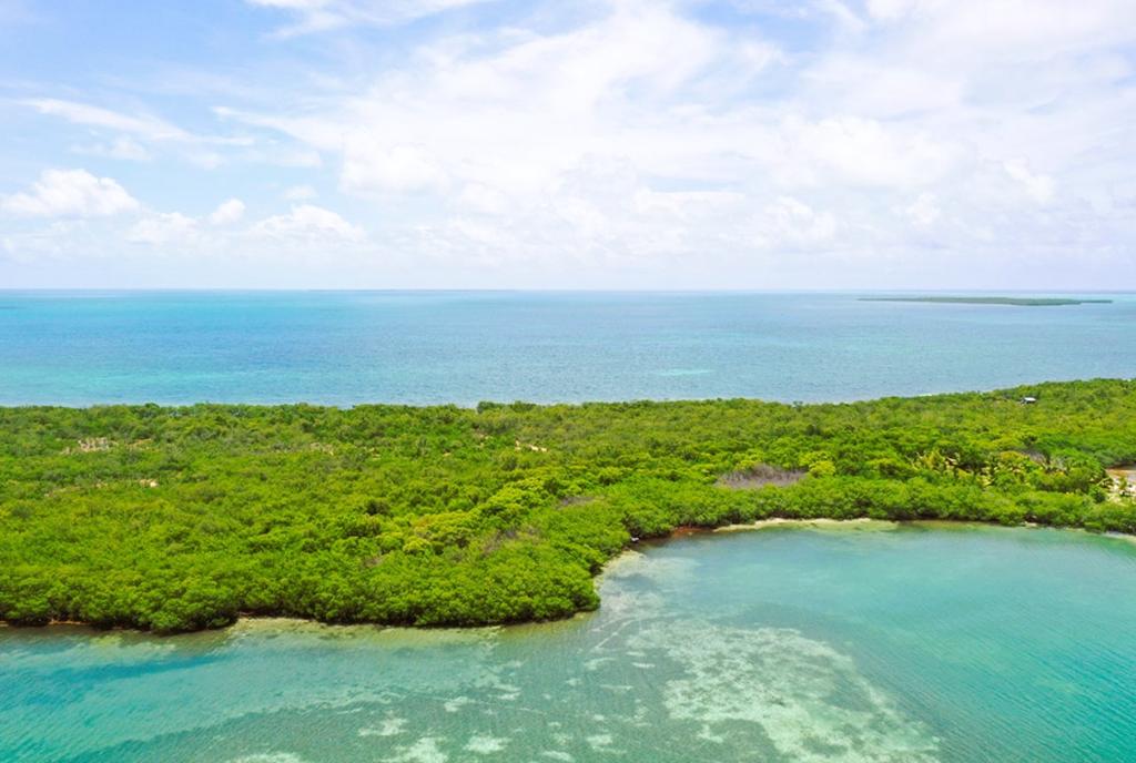 listing image with ID 70357