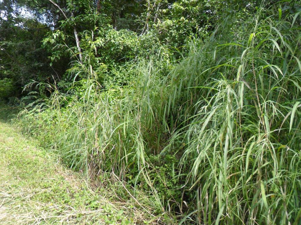 listing image with ID 70130