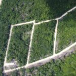 listing image thumbnail with ID 69764