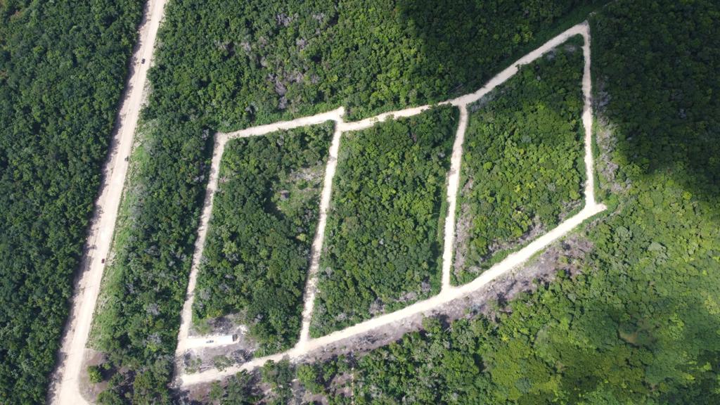 listing image with ID 69764