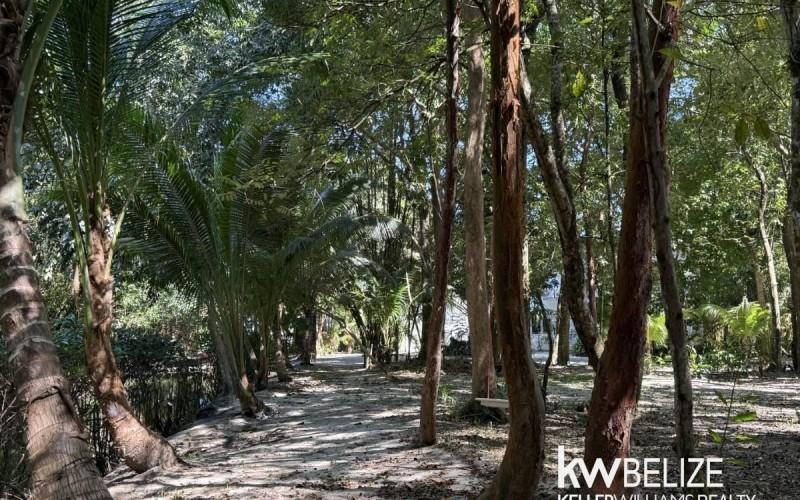 listing image with ID 70532