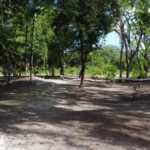 listing image thumbnail with ID 69768