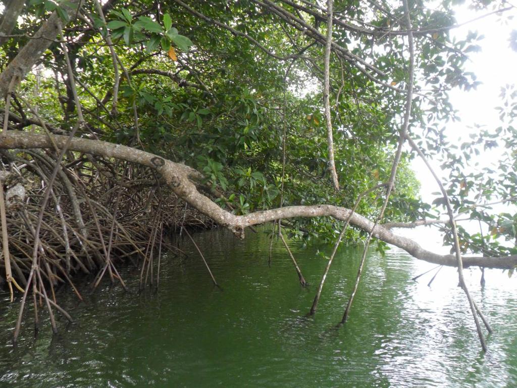 listing image with ID 70055