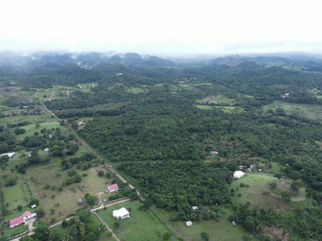 listing image with ID 69709