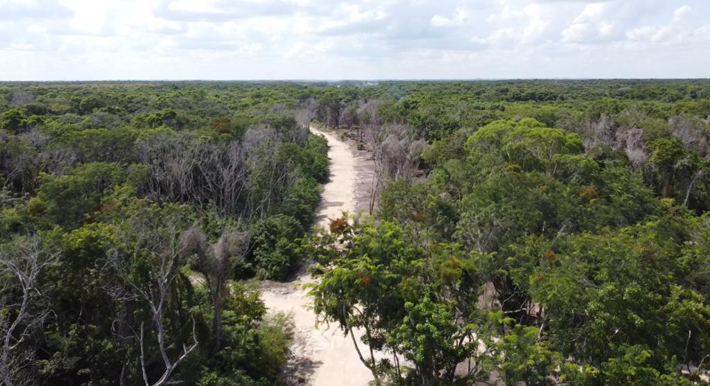 listing image with ID 69760