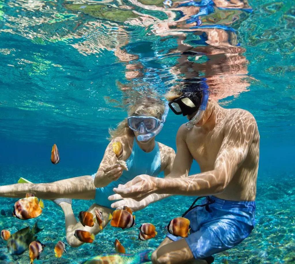 listing image with ID 70881