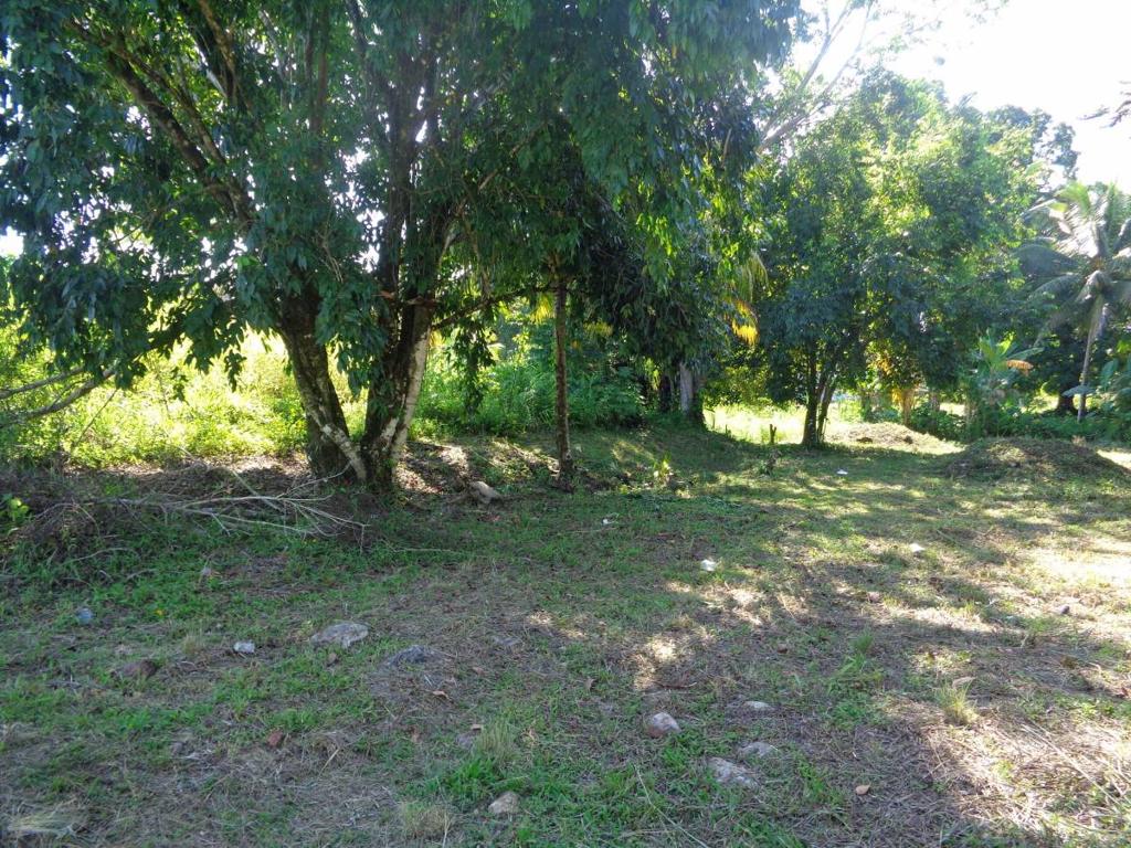 listing image with ID 70201