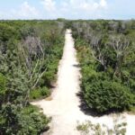 listing image thumbnail with ID 69753