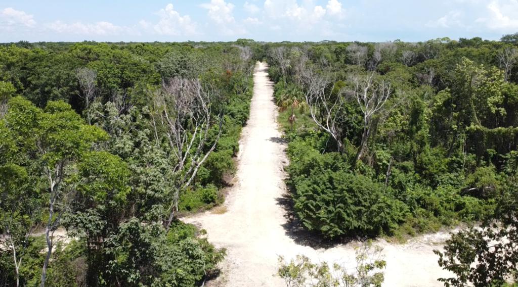 listing image with ID 69753