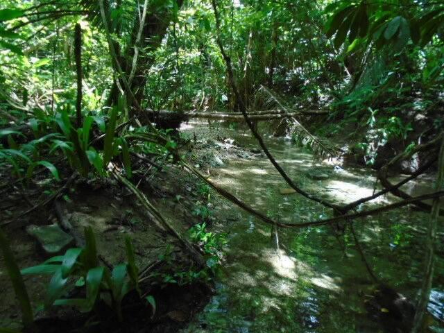 listing image with ID 70091