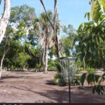 listing image thumbnail with ID 69770