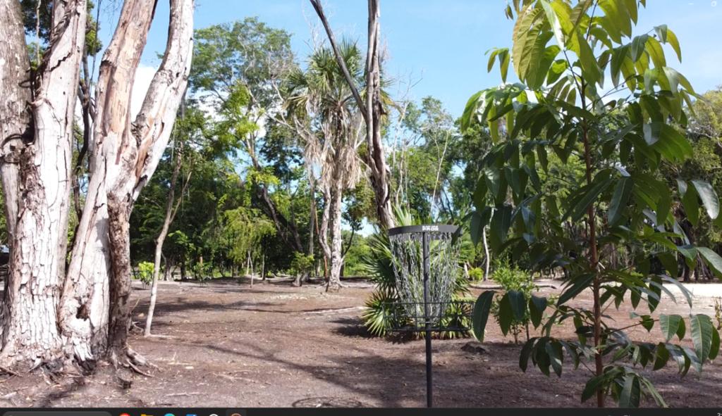 listing image with ID 69770