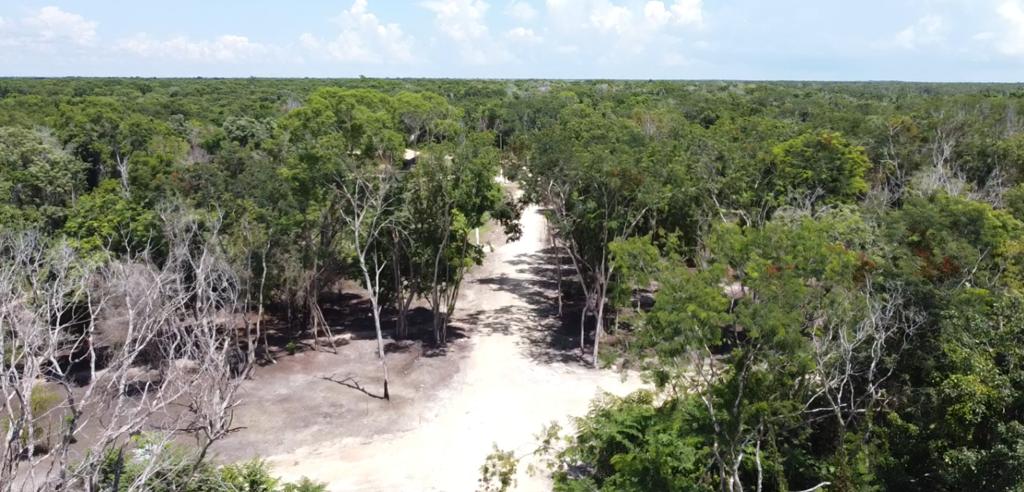 listing image with ID 69756