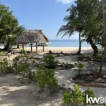 listing image thumbnail with ID 69664