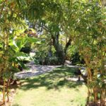 listing image thumbnail with ID 70042