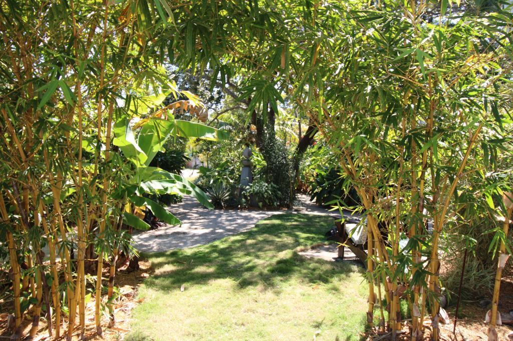 listing image with ID 70042