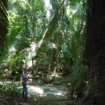 listing image thumbnail with ID 70108