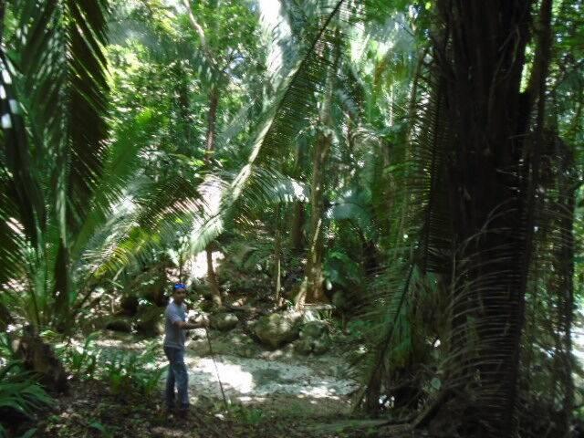 listing image with ID 70108