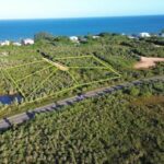 listing image thumbnail with ID 69862