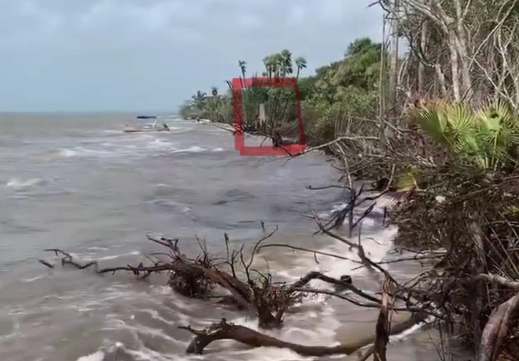 listing image with ID 69731