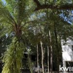 listing image thumbnail with ID 70535