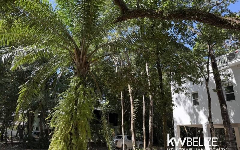 listing image with ID 70535