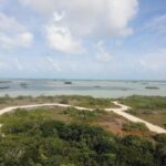 listing image thumbnail with ID 69740