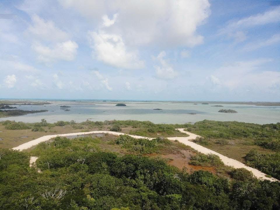 listing image with ID 69740