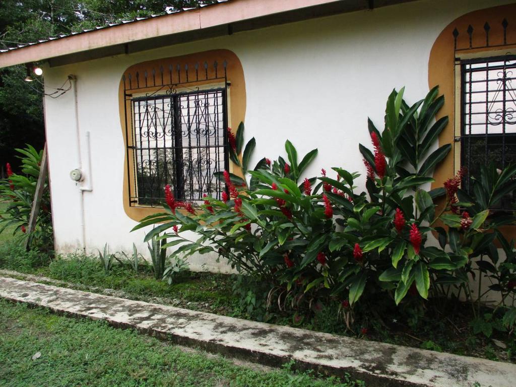 listing image with ID 70325