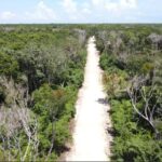 listing image thumbnail with ID 69754