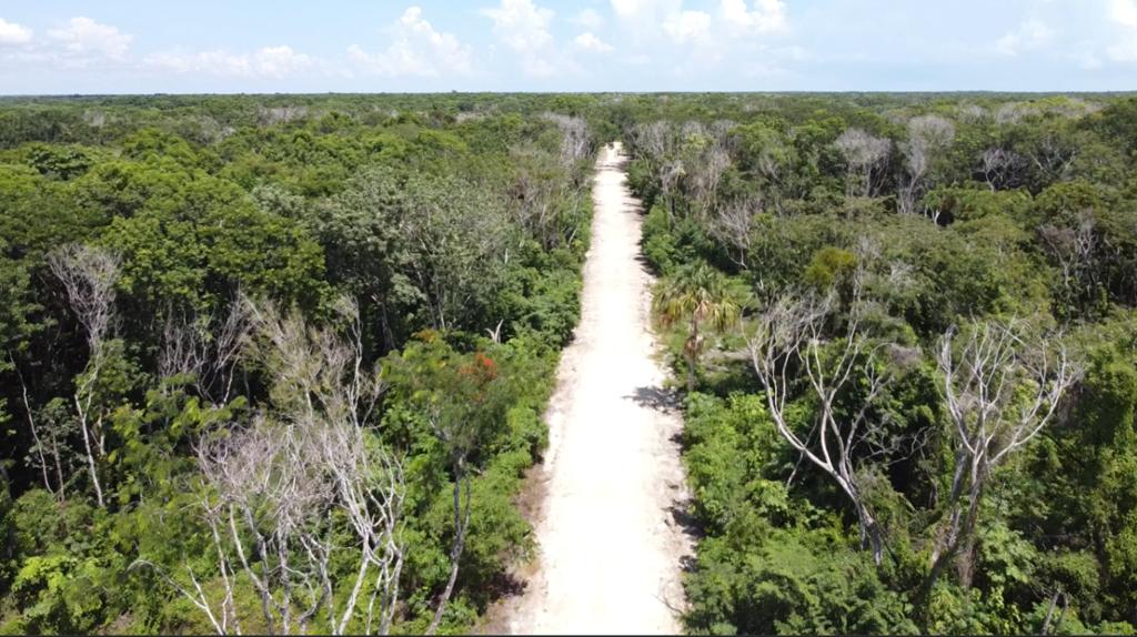 listing image with ID 69754